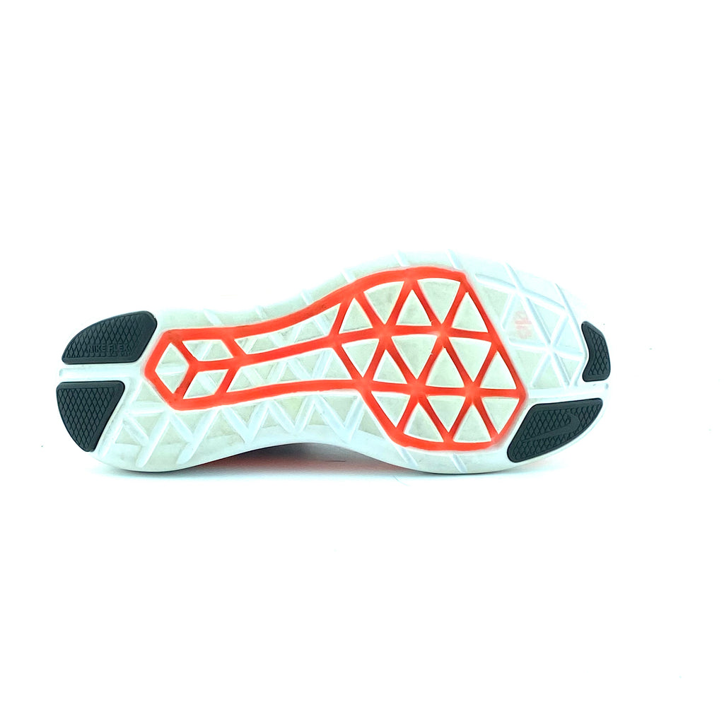 Nike Flex 2016 Run