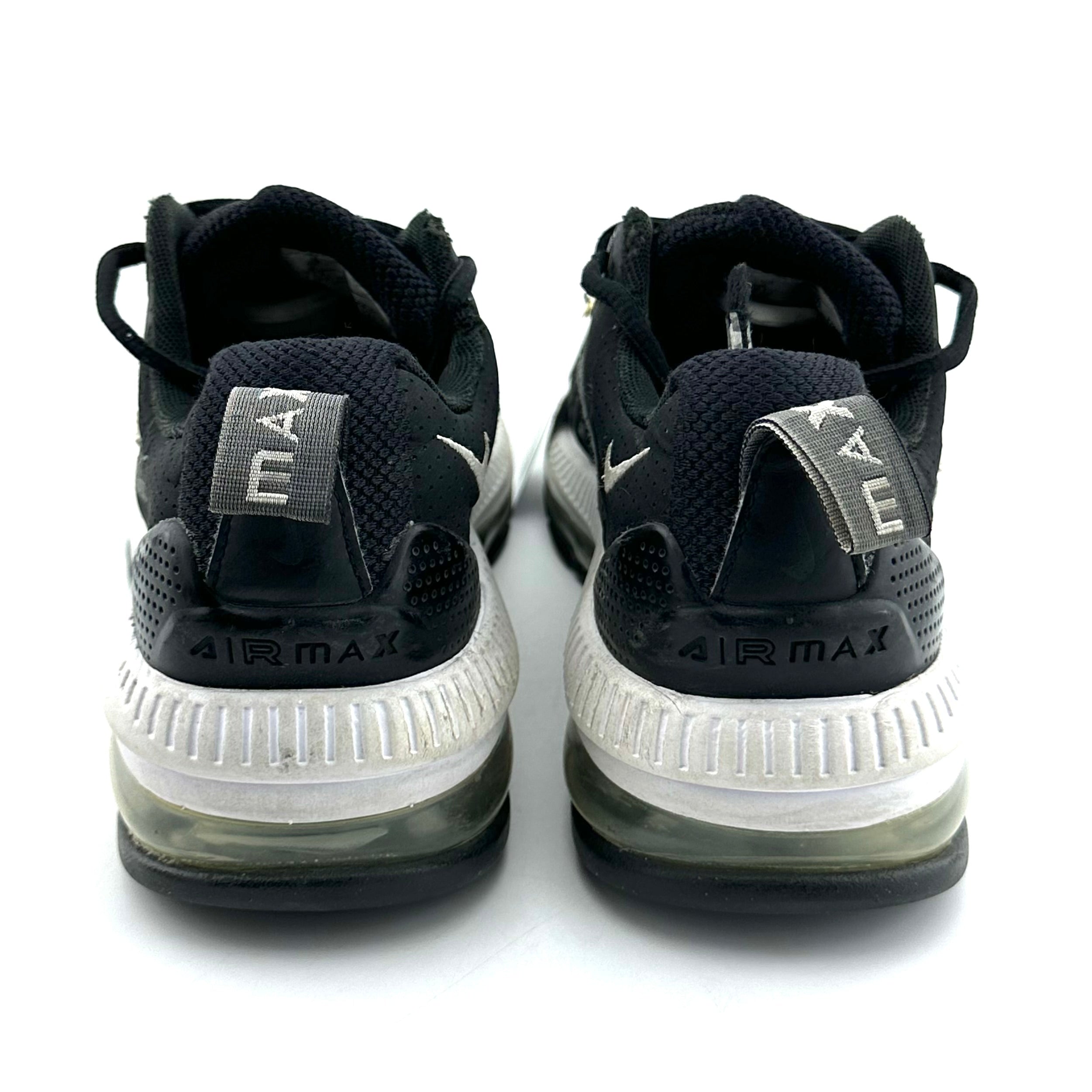 Nike Air Max Genome
